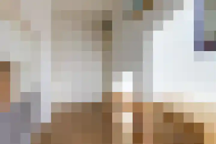 Barnsteenlaan 43 1 Utrecht thumbnail 29
