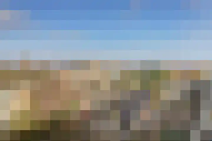 Barnsteenlaan 43 1 Utrecht thumbnail 31