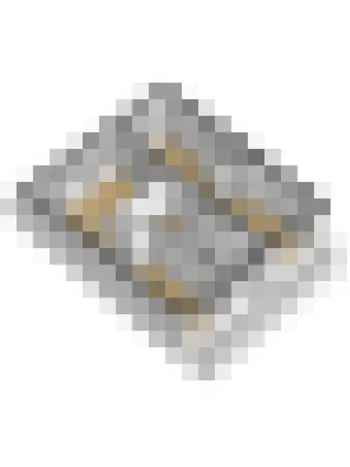 Barnsteenlaan 43 1 Utrecht thumbnail 42
