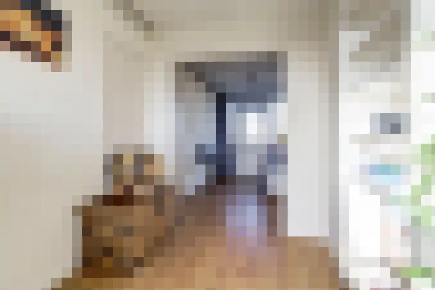 Barnsteenlaan 43 2 Utrecht thumbnail 20