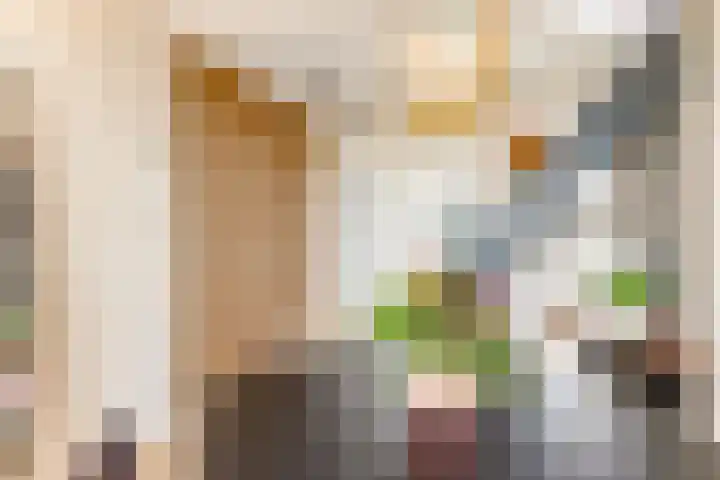 Barnsteenlaan 53 1 Utrecht thumbnail 10