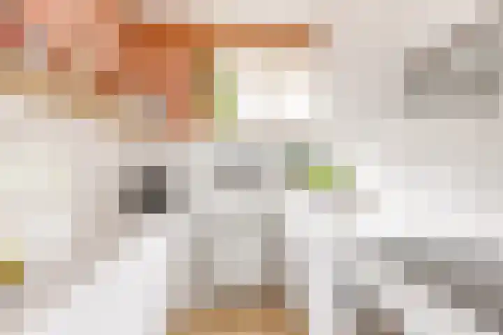 Barnsteenlaan 53 1 Utrecht thumbnail 11