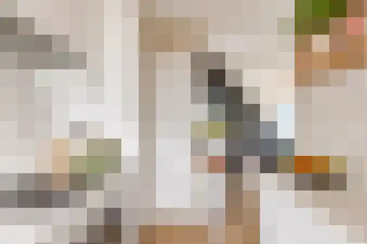 Barnsteenlaan 53 1 Utrecht thumbnail 14