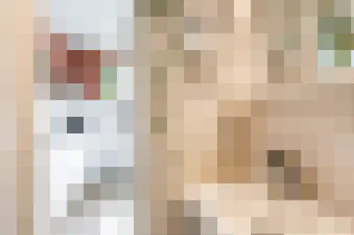 Barnsteenlaan 53 1 Utrecht thumbnail 16