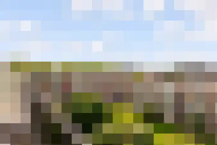 Barnsteenlaan 53 1 Utrecht thumbnail 21