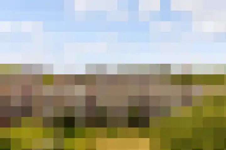 Barnsteenlaan 53 1 Utrecht thumbnail 23