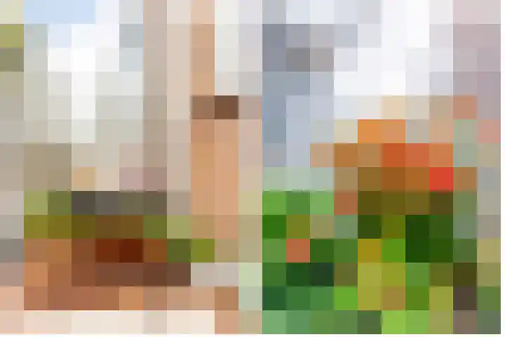 Barnsteenlaan 53 1 Utrecht thumbnail 24