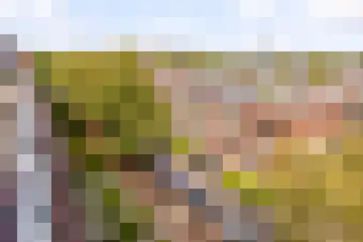 Barnsteenlaan 53 1 Utrecht thumbnail 32
