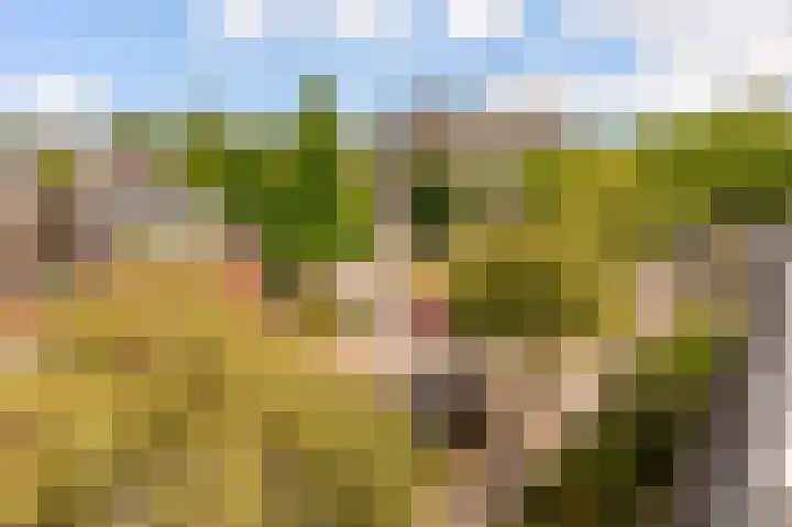 Barnsteenlaan 53 1 Utrecht thumbnail 33