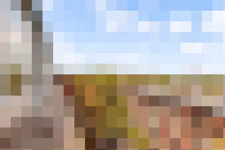 Barnsteenlaan 53 1 Utrecht thumbnail 34