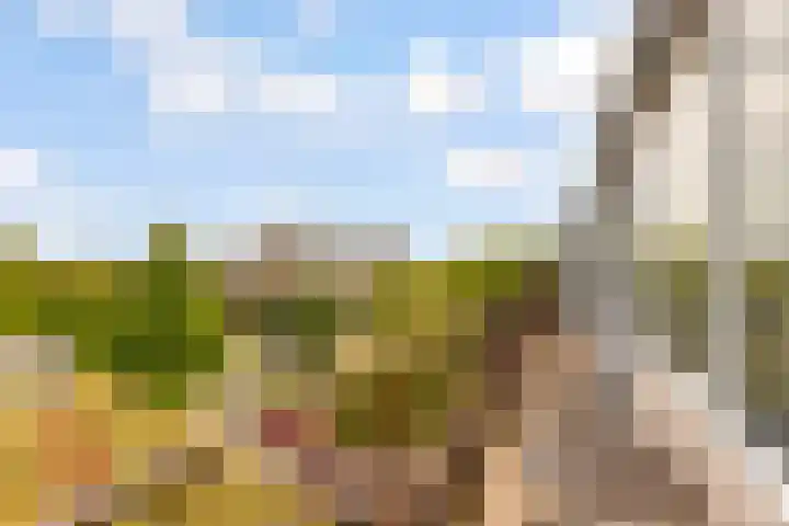 Barnsteenlaan 53 1 Utrecht thumbnail 35