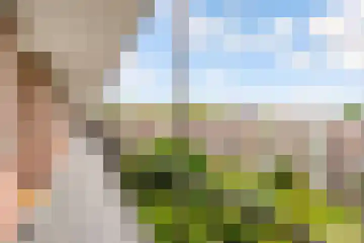 Barnsteenlaan 53 1 Utrecht thumbnail 36