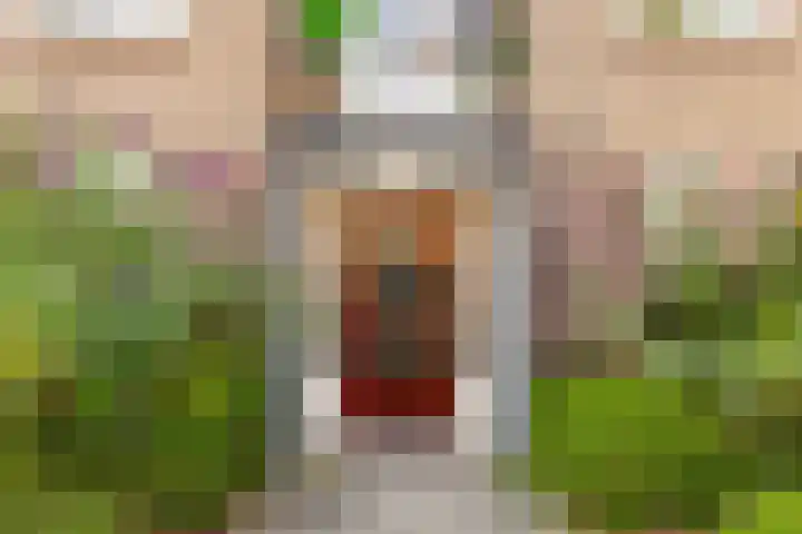 Barnsteenlaan 53 1 Utrecht thumbnail 38