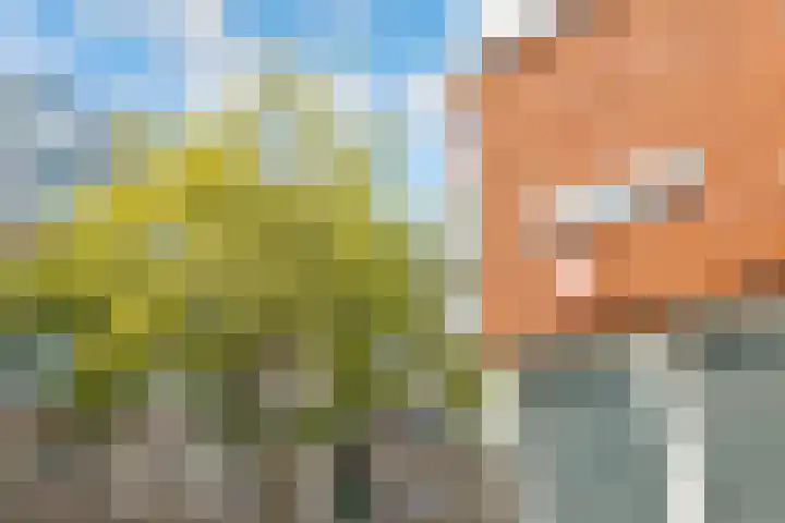 Barnsteenlaan 53 1 Utrecht thumbnail 39