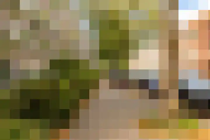 Barnsteenlaan 53 1 Utrecht thumbnail 40