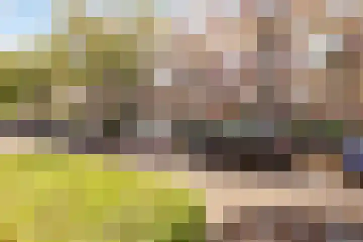 Barnsteenlaan 53 1 Utrecht thumbnail 41