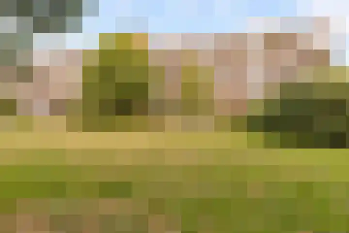Barnsteenlaan 53 1 Utrecht thumbnail 42