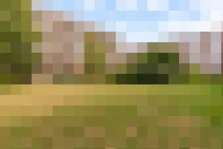 Barnsteenlaan 53 1 Utrecht thumbnail 44