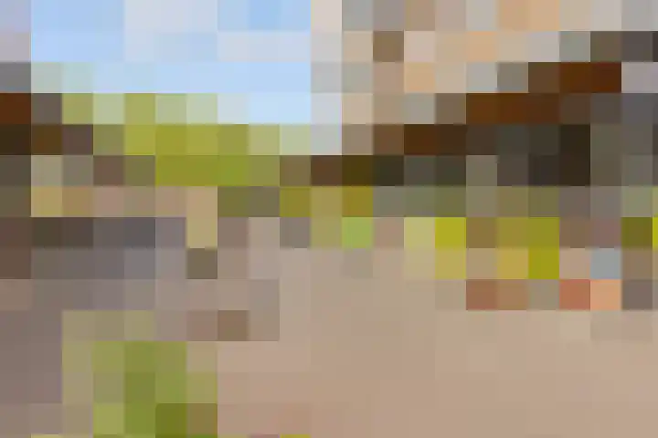 Barnsteenlaan 53 1 Utrecht thumbnail 46