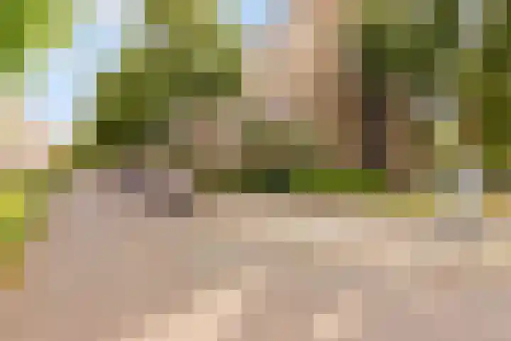 Barnsteenlaan 53 1 Utrecht thumbnail 47