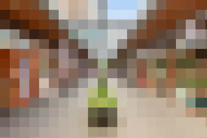 Barnsteenlaan 53 1 Utrecht thumbnail 48