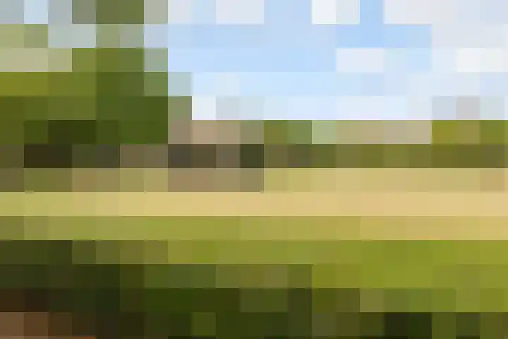 Barnsteenlaan 53 1 Utrecht thumbnail 50