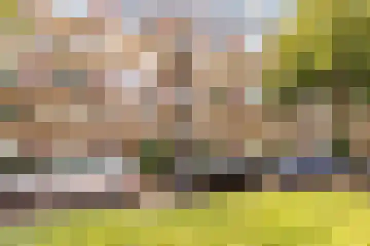 Barnsteenlaan 53 1 Utrecht thumbnail 55
