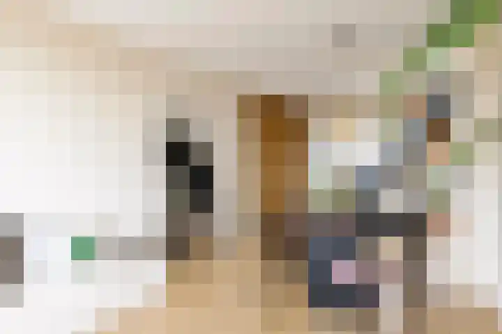 Barnsteenlaan 53 1 Utrecht thumbnail 9