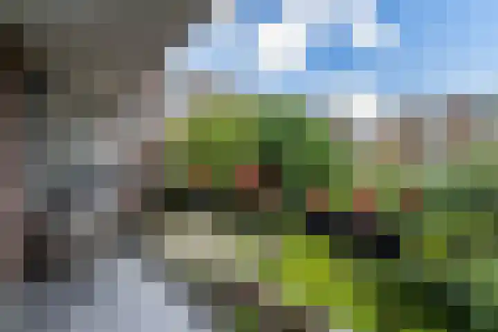 Barnsteenlaan 59 Utrecht thumbnail 13
