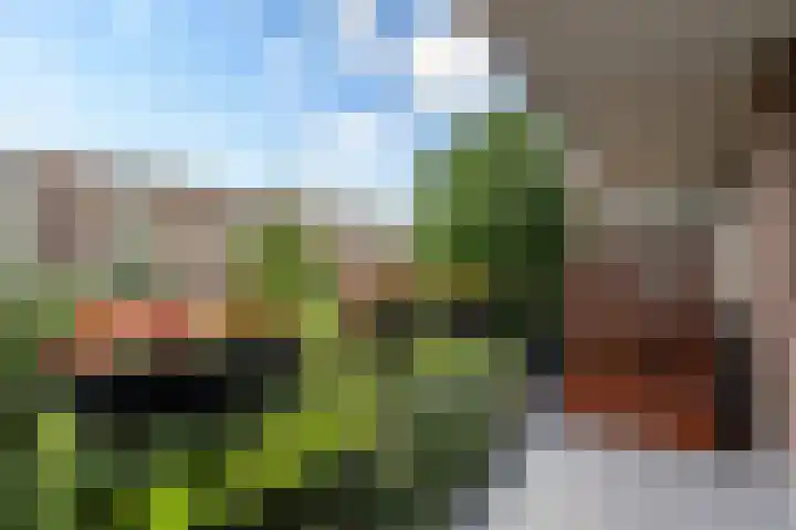 Barnsteenlaan 59 Utrecht thumbnail 14