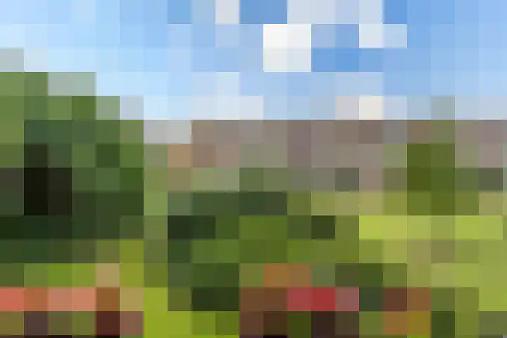 Barnsteenlaan 59 Utrecht thumbnail 15