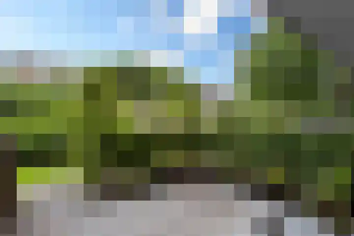 Barnsteenlaan 59 Utrecht thumbnail 22