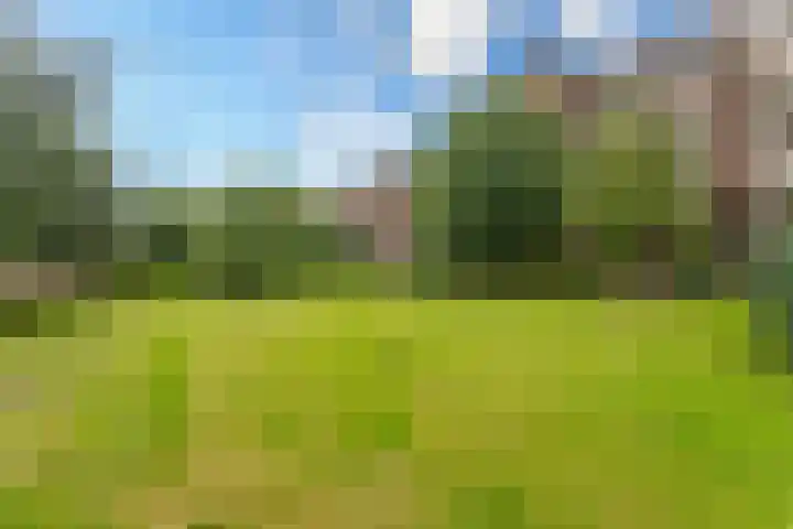 Barnsteenlaan 59 Utrecht thumbnail 23