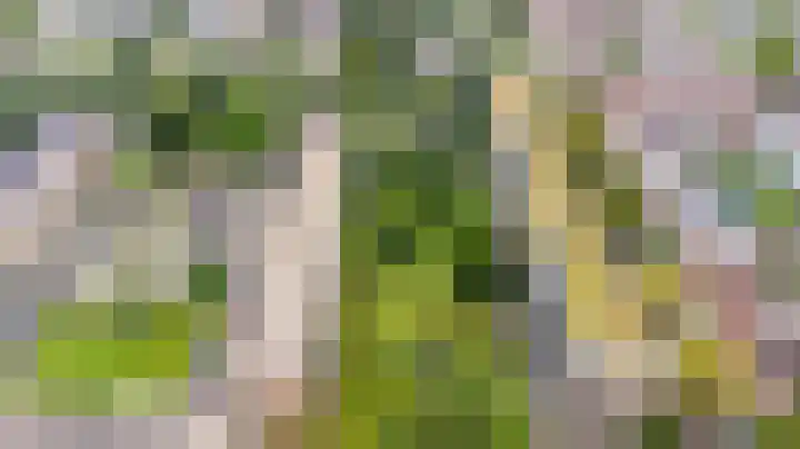 Barnsteenlaan 59 Utrecht thumbnail 25