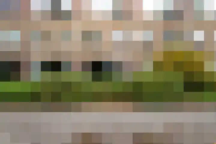 Barnsteenlaan 59 Utrecht thumbnail 26