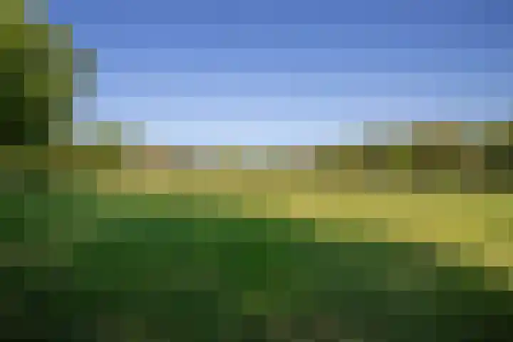 Barnsteenlaan 59 Utrecht thumbnail 31