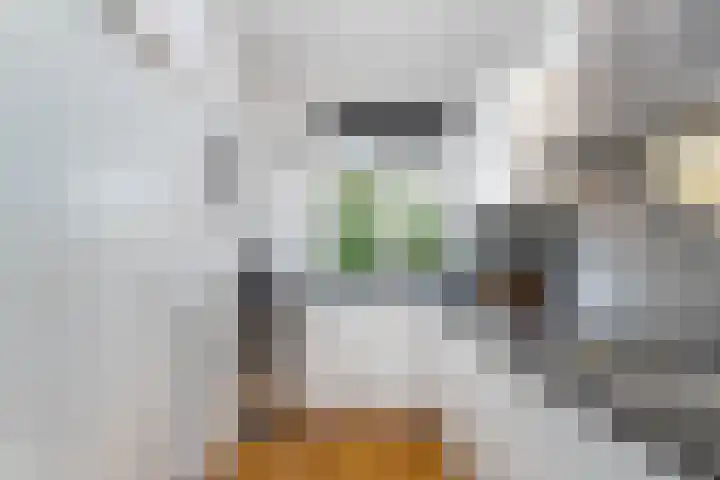 Barnsteenlaan 59 Utrecht thumbnail 7