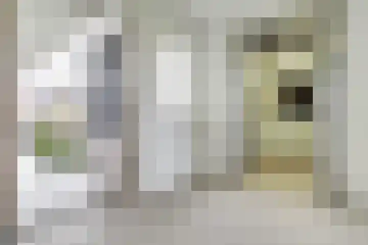 Barnsteenlaan 63 1 Utrecht thumbnail 10