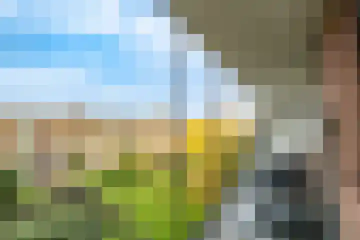 Barnsteenlaan 63 1 Utrecht thumbnail 38
