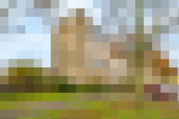 Barnsteenlaan 63 1 Utrecht thumbnail 39