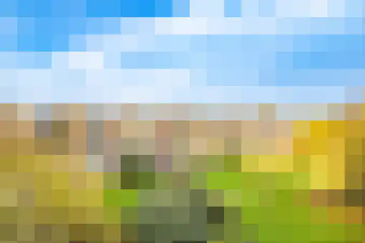 Barnsteenlaan 63 1 Utrecht thumbnail 40