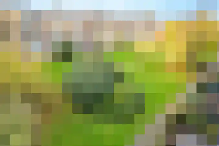 Barnsteenlaan 63 1 Utrecht thumbnail 41