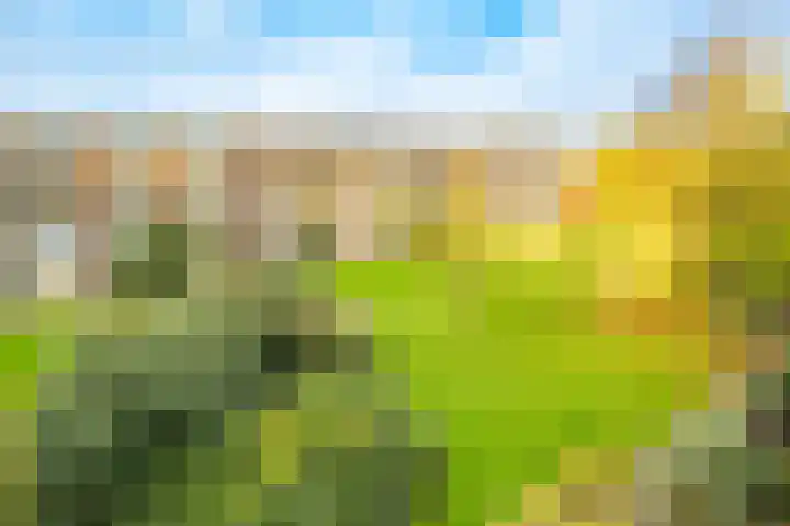 Barnsteenlaan 63 1 Utrecht thumbnail 42