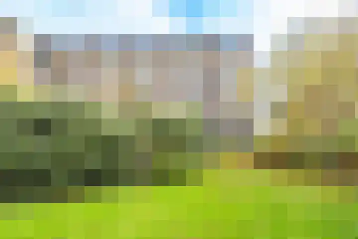 Barnsteenlaan 63 1 Utrecht thumbnail 48