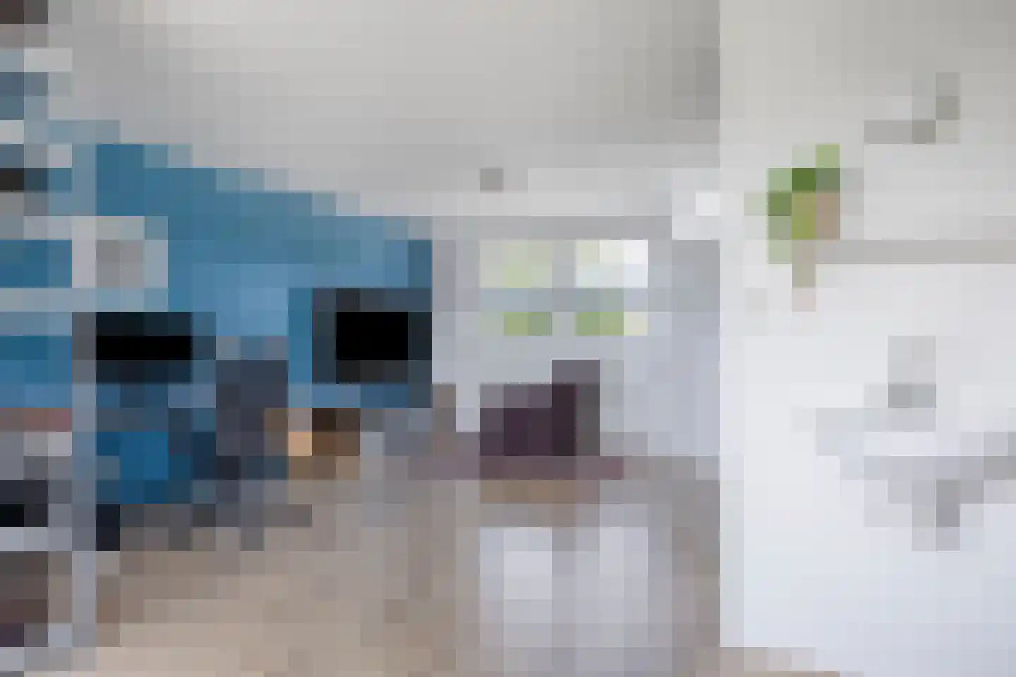 Barnsteenlaan 8 Utrecht thumbnail 23