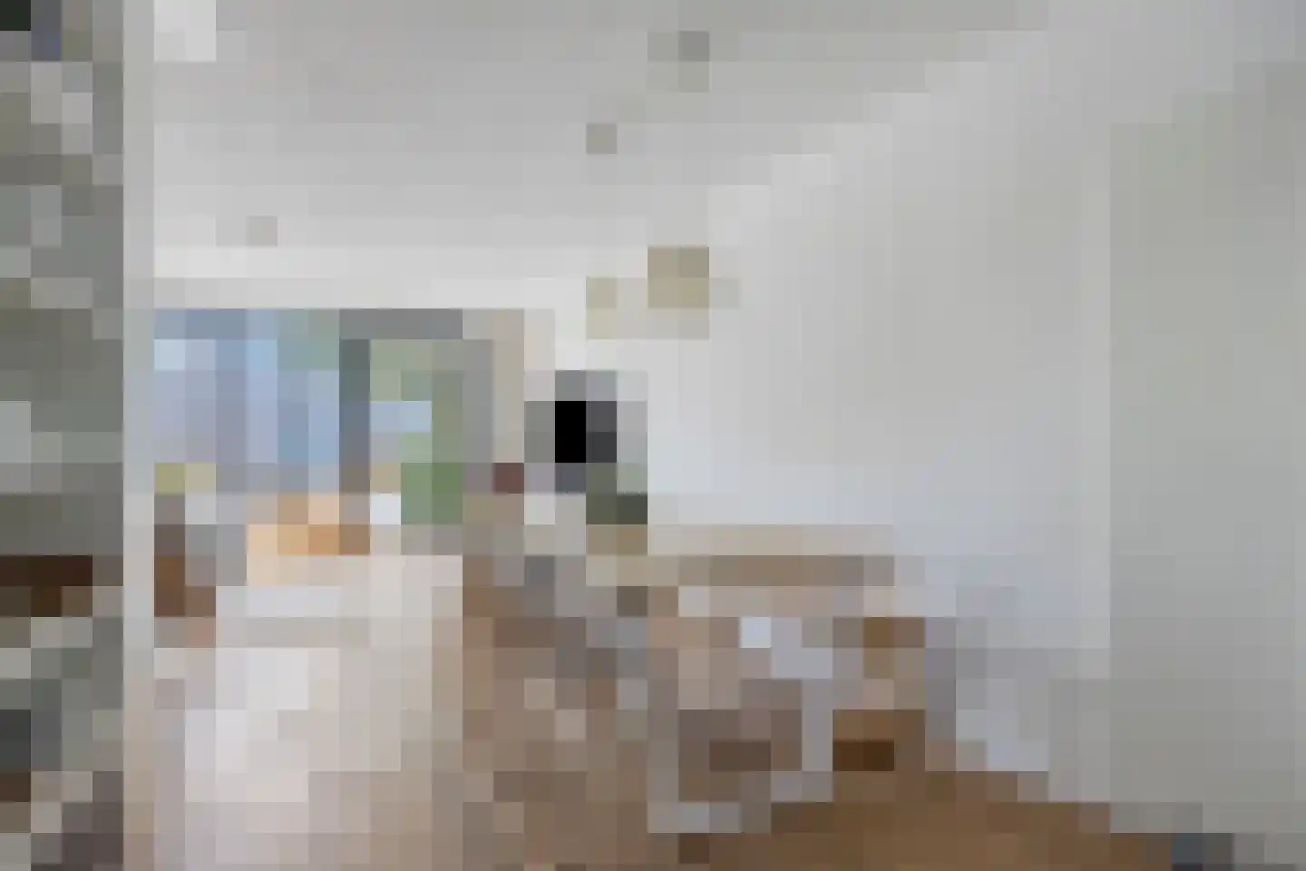 Barnsteenlaan 8 Utrecht thumbnail 5