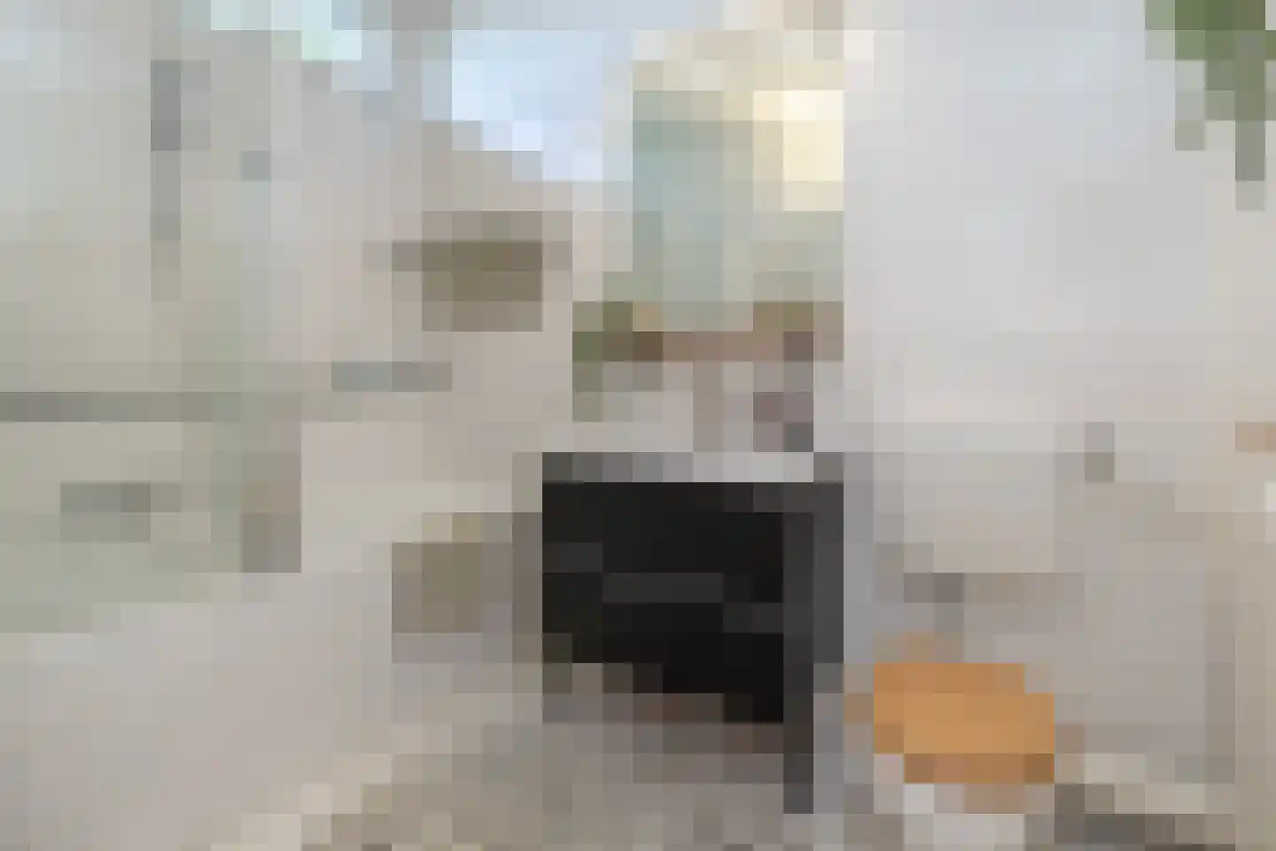 Barnsteenslak 21 Amersfoort thumbnail 22