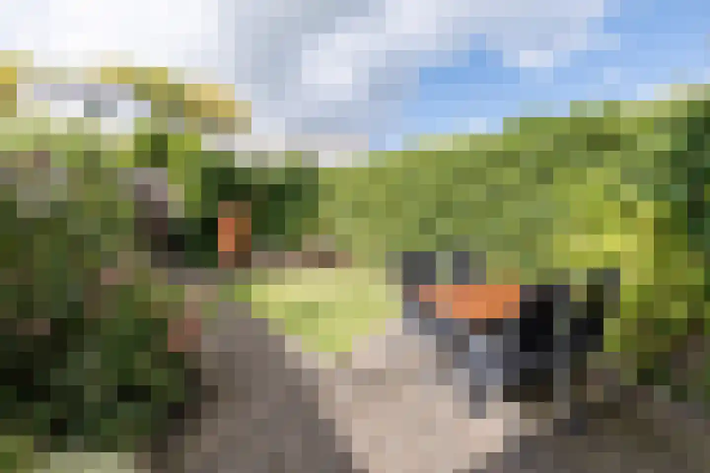 Barnsteenslak 21 Amersfoort thumbnail 28