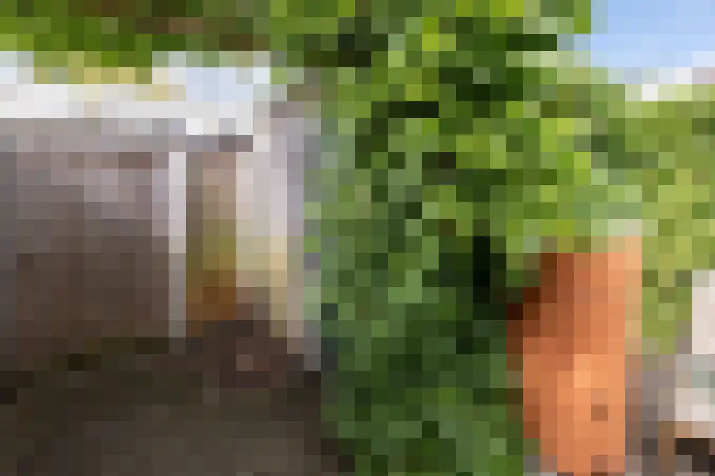 Barnsteenslak 21 Amersfoort thumbnail 33