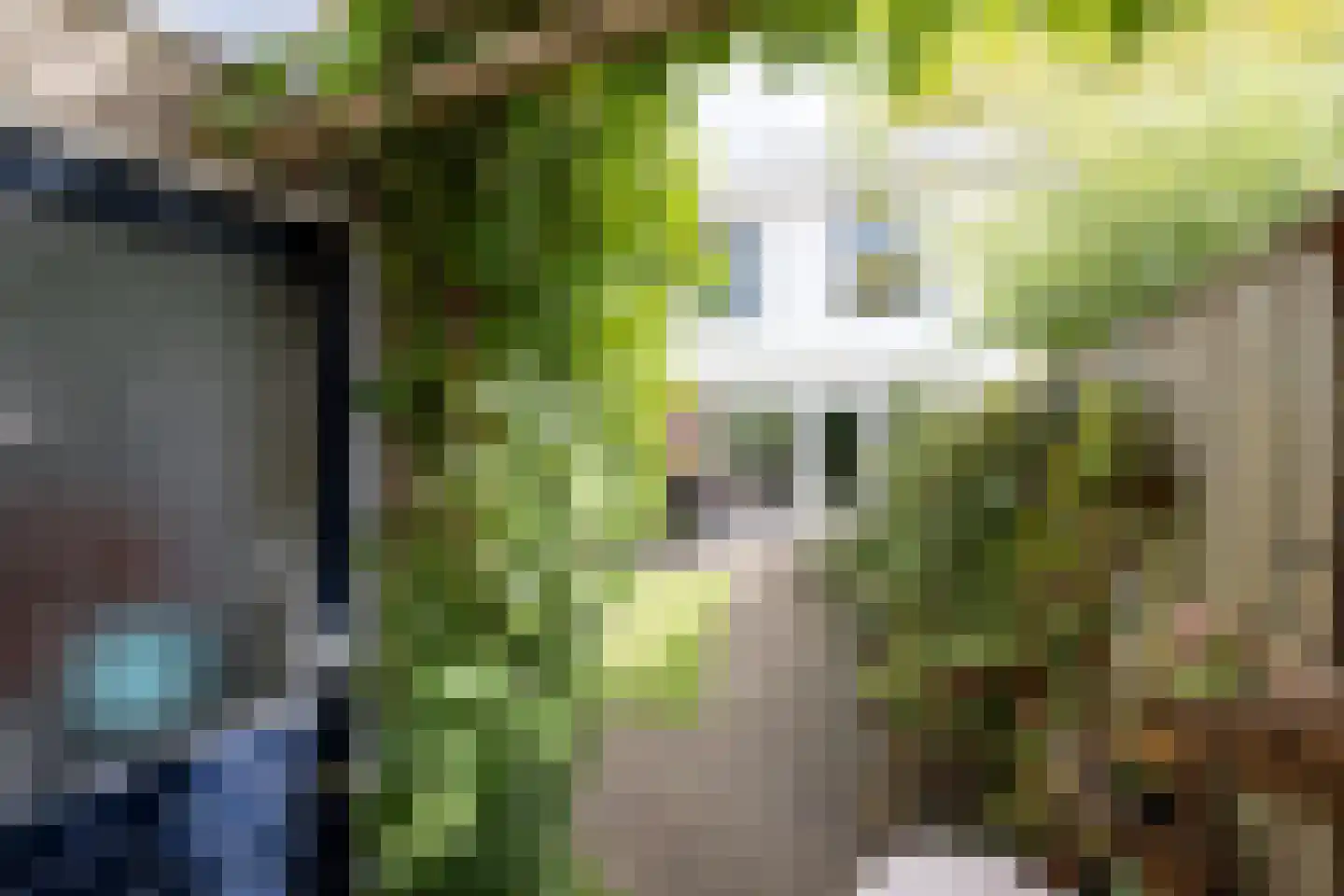 Barnsteenslak 21 Amersfoort thumbnail 34